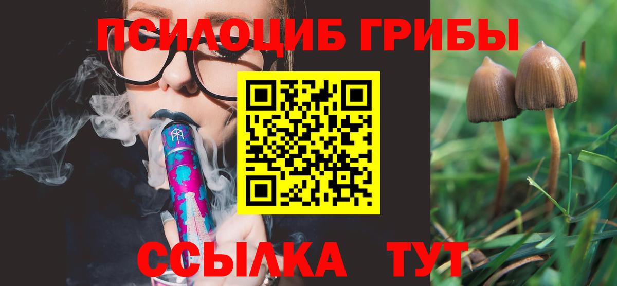 Галлюциногенные грибы мицелий Александров